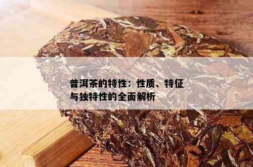 普洱茶的特性：性质、特征与独特性的全面解析