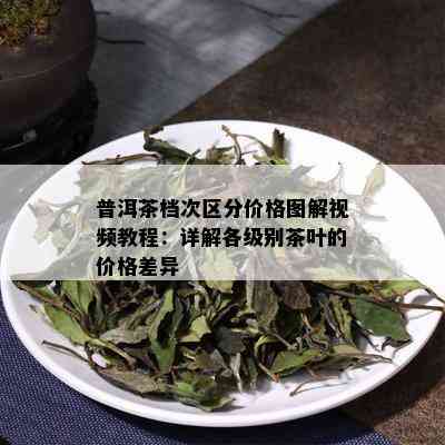 普洱茶档次区分价格图解视频教程：详解各级别茶叶的价格差异