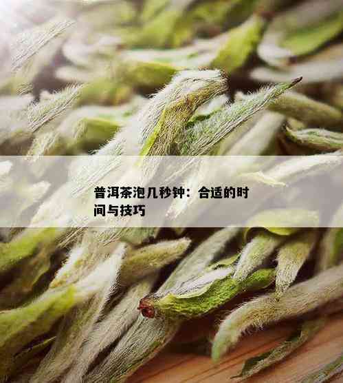 普洱茶泡几秒钟：合适的时间与技巧