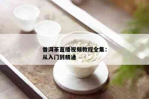 普洱茶直播视频教程全集：从入门到精通