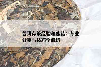 普洱存茶经验和总结：专业分享与技巧全解析