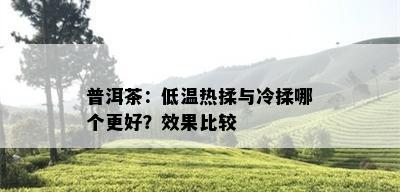 普洱茶：低温热揉与冷揉哪个更好？效果比较