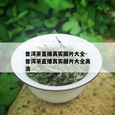 普洱茶直播真实图片大全-普洱茶直播真实图片大全高清