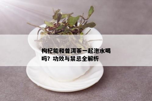 枸杞能和普洱茶一起泡水喝吗？功效与禁忌全解析