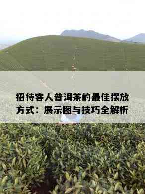 招待客人普洱茶的更佳摆放方式：展示图与技巧全解析