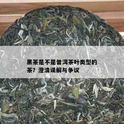 黑茶是不是普洱茶叶类型的茶？澄清误解与争议