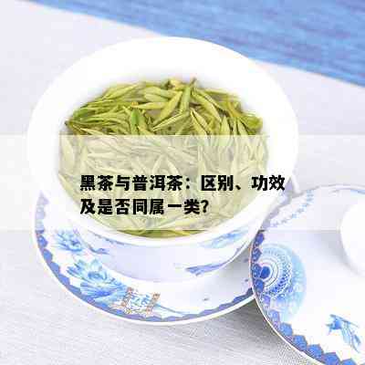 黑茶与普洱茶：区别、功效及是否同属一类？