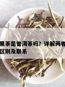 黑茶是普洱茶吗？详解两者区别及联系