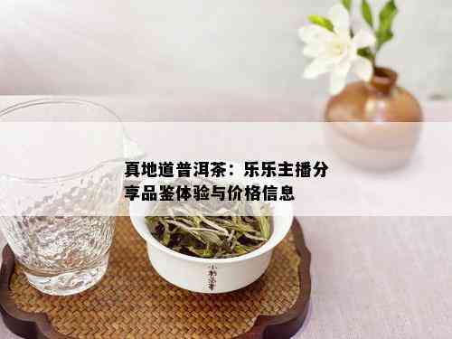 真地道普洱茶：乐乐主播分享品鉴体验与价格信息