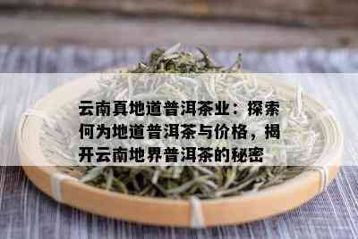 云南真地道普洱茶业：探索何为地道普洱茶与价格，揭开云南地界普洱茶的秘密