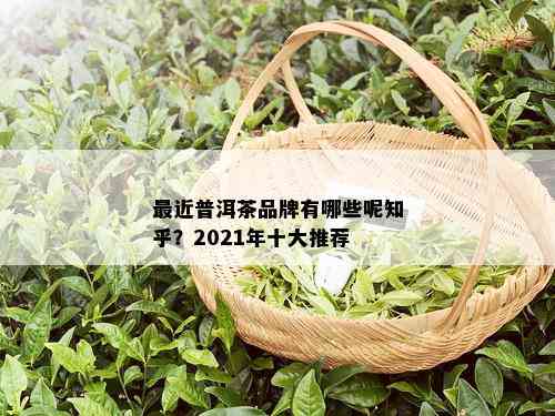 最近普洱茶品牌有哪些呢知乎？2021年十大推荐