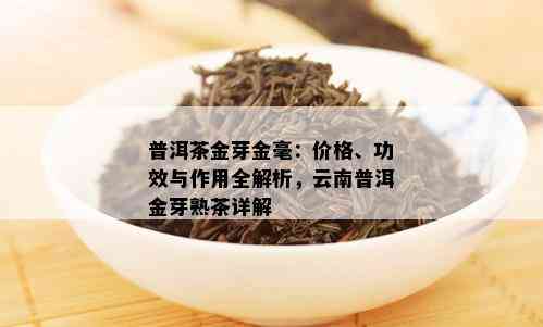 普洱茶金芽金毫：价格、功效与作用全解析，云南普洱金芽熟茶详解