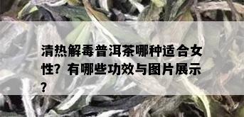 清热解普洱茶哪种适合女性？有哪些功效与图片展示？