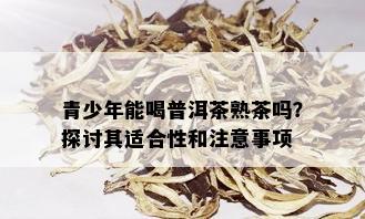 青少年能喝普洱茶熟茶吗？探讨其适合性和注意事项