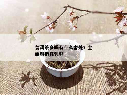 普洱茶多喝有什么害处？全面解析其利弊