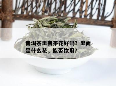 普洱茶里有茶花好吗？里面是什么花，能否饮用？