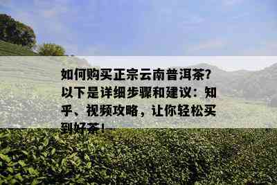 如何购买正宗云南普洱茶？以下是详细步骤和建议：知乎、视频攻略，让你轻松买到好茶！