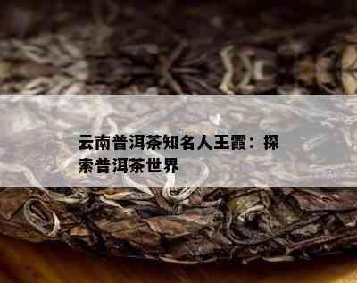 云南普洱茶知名人王霞：探索普洱茶世界