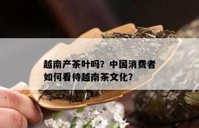 越南产茶叶吗？中国消费者如何看待越南茶文化？