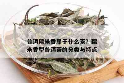 普洱糯米香属于什么茶？糯米香型普洱茶的分类与特点