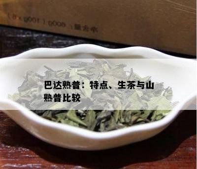 巴达熟普：特点、生茶与山熟普比较