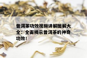 普洱茶功效视频讲解图解大全：全面揭示普洱茶的神奇功效！