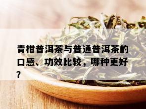 青柑普洱茶与普通普洱茶的口感、功效比较，哪种更好？