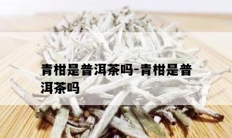 青柑是普洱茶吗-青柑是普洱茶吗