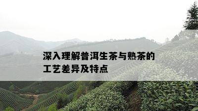 深入理解普洱生茶与熟茶的工艺差异及特点