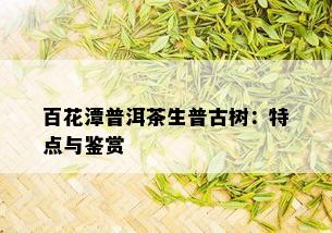 百花潭普洱茶生普古树：特点与鉴赏