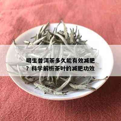 喝生普洱茶多久能有效减肥？科学解析茶叶的减肥功效