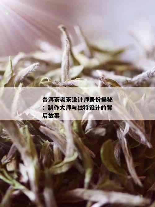 普洱茶老茶设计师身份揭秘：制作大师与独特设计的背后故事