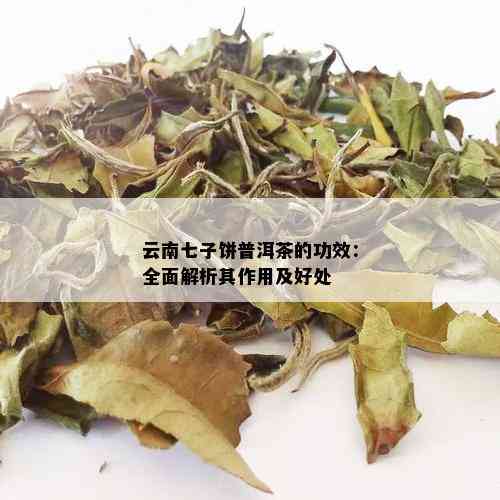 云南七子饼普洱茶的功效：全面解析其作用及好处