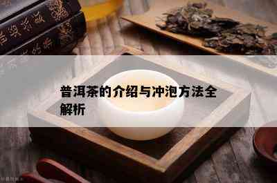 普洱茶的介绍与冲泡方法全解析