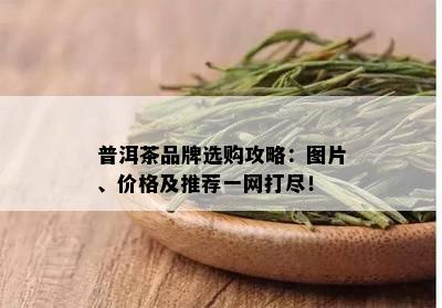 普洱茶品牌选购攻略：图片、价格及推荐一网打尽！