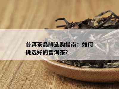 普洱茶品牌选购指南：如何挑选好的普洱茶？