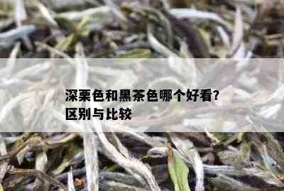 深栗色和黑茶色哪个好看？区别与比较