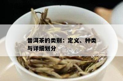 普洱茶的类别：定义、种类与详细划分