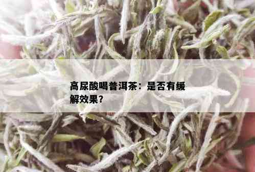 高尿酸喝普洱茶：是否有缓解效果？