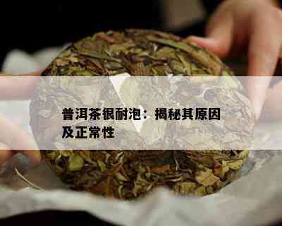 普洱茶很耐泡：揭秘其原因及正常性