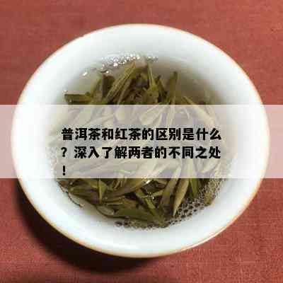 普洱茶和红茶的区别是什么？深入了解两者的不同之处！