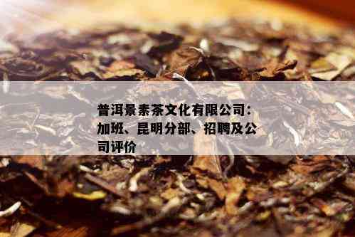 普洱景素茶文化有限公司：加班、昆明分部、招聘及公司评价