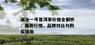 澜沧一号普洱茶价格全解析：最新行情、品牌对比与购买指南