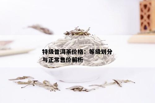 特级普洱茶价格：等级划分与正常售价解析