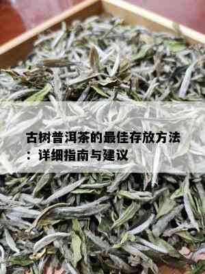 古树普洱茶的更佳存放方法：详细指南与建议