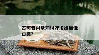 古树普洱茶如何冲泡出更佳口感？