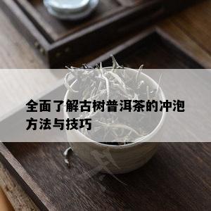 全面了解古树普洱茶的冲泡方法与技巧