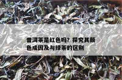 普洱茶是红色吗？探究其颜色成因及与绿茶的区别