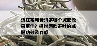 滇红茶和普洱茶哪个减肥效果更佳？探讨两款茶叶的减肥功效及口感