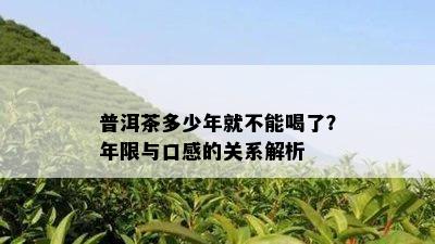 普洱茶多少年就不能喝了？年限与口感的关系解析